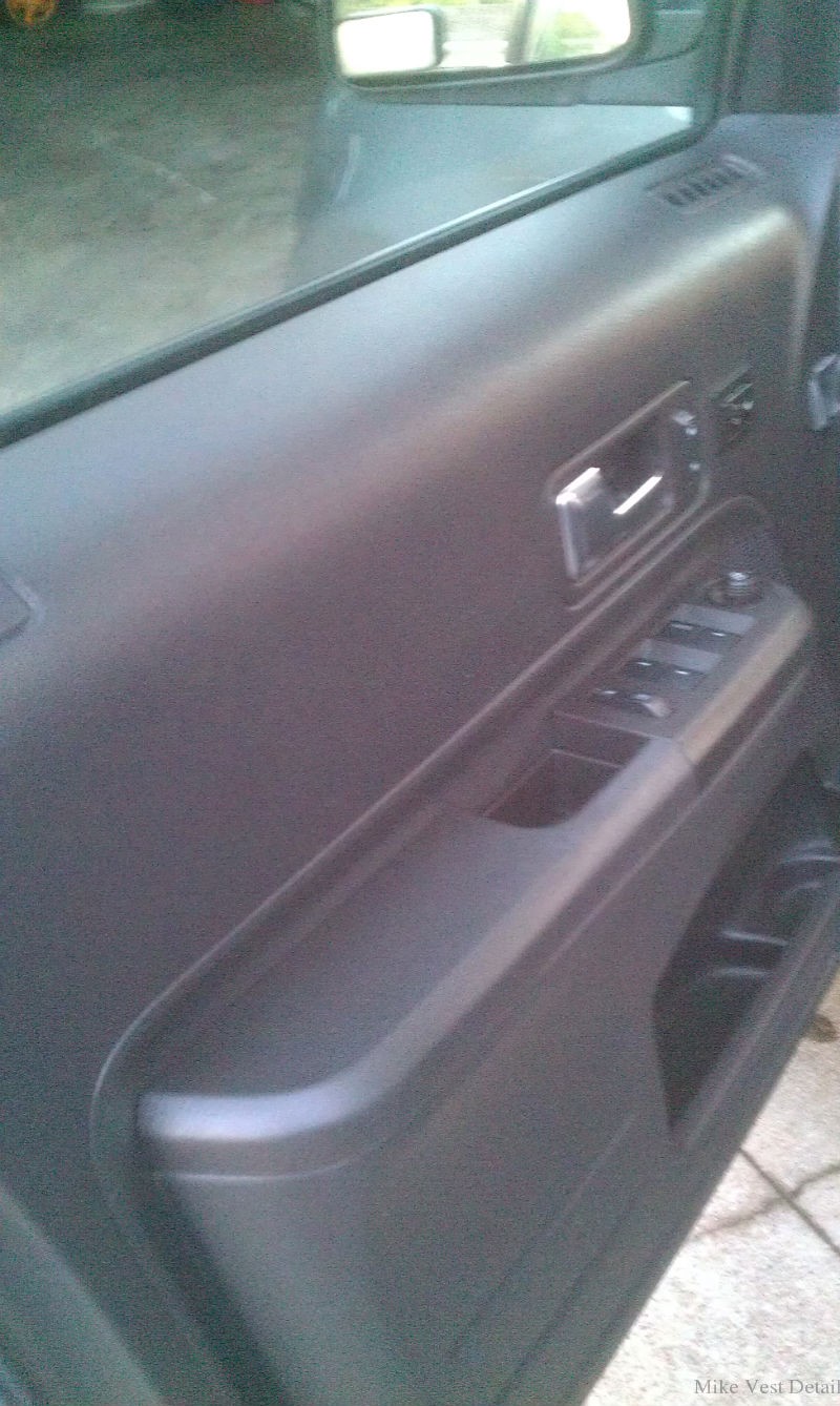 Clean Driver Side Door Panel 1