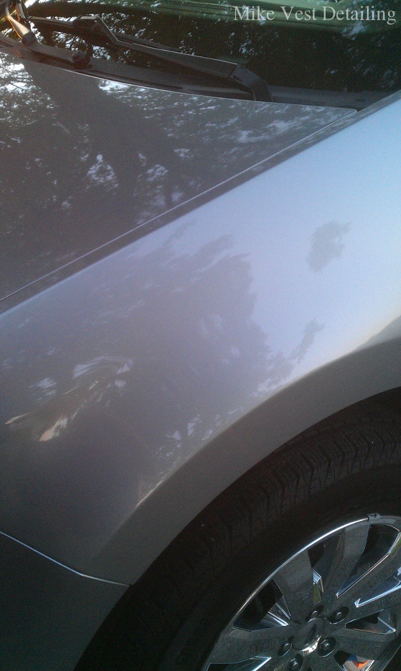 Clean Front Fender 1