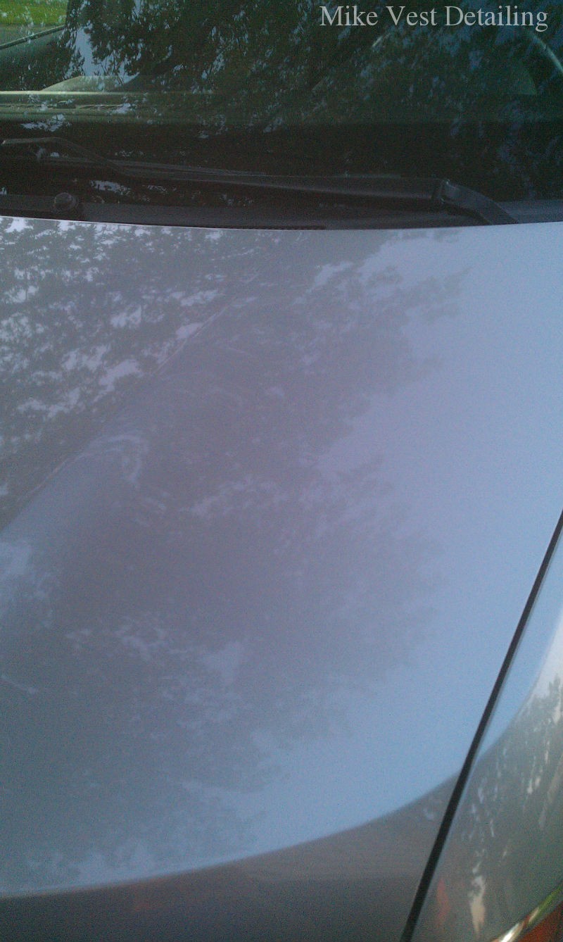 Clean Hood 1