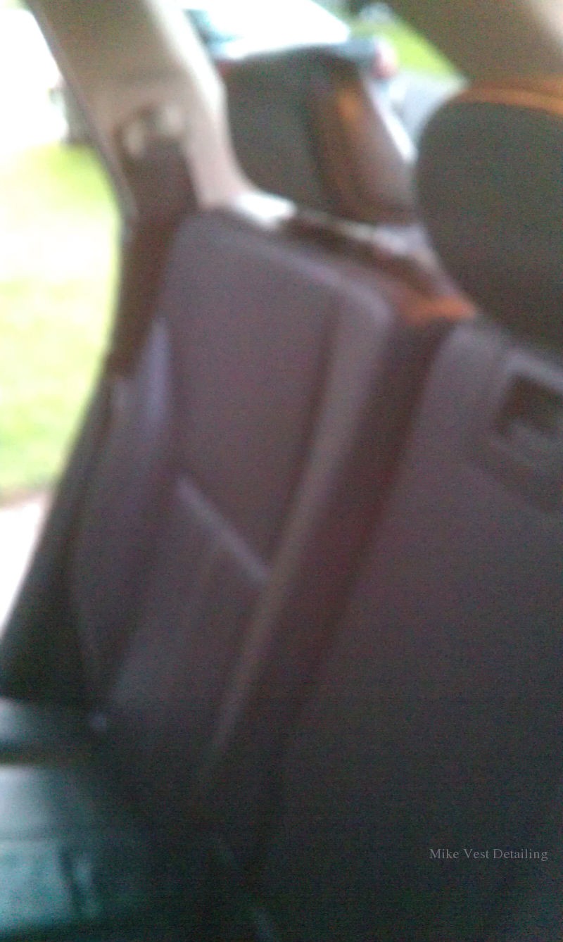 Clean Leather Backseat 2