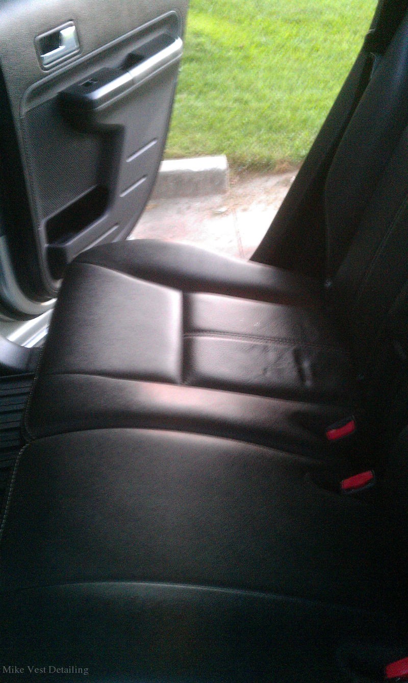 Clean Leather Backseat 3