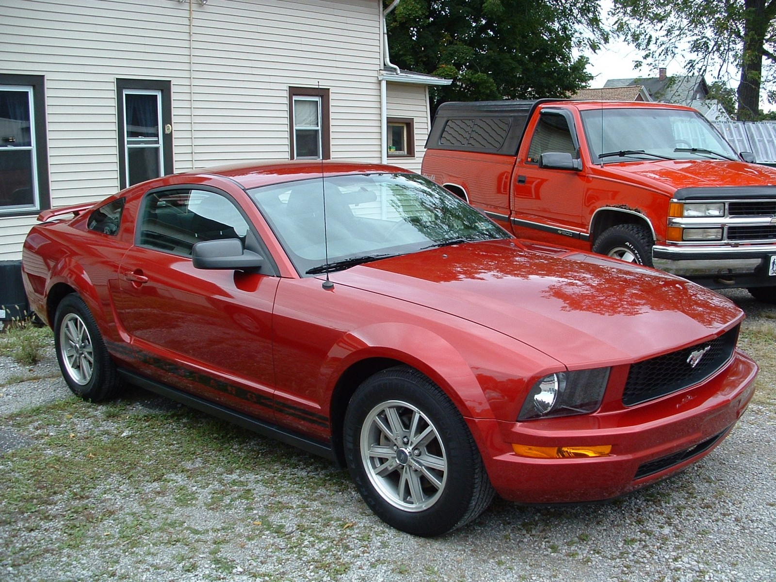 Cleaned up for winter