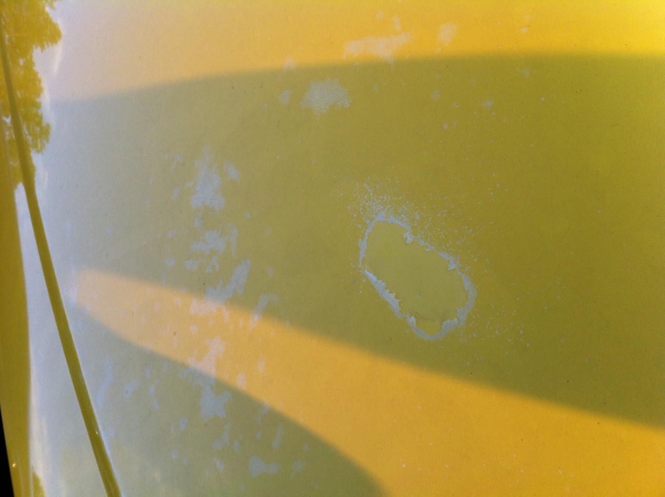 clear coat failure