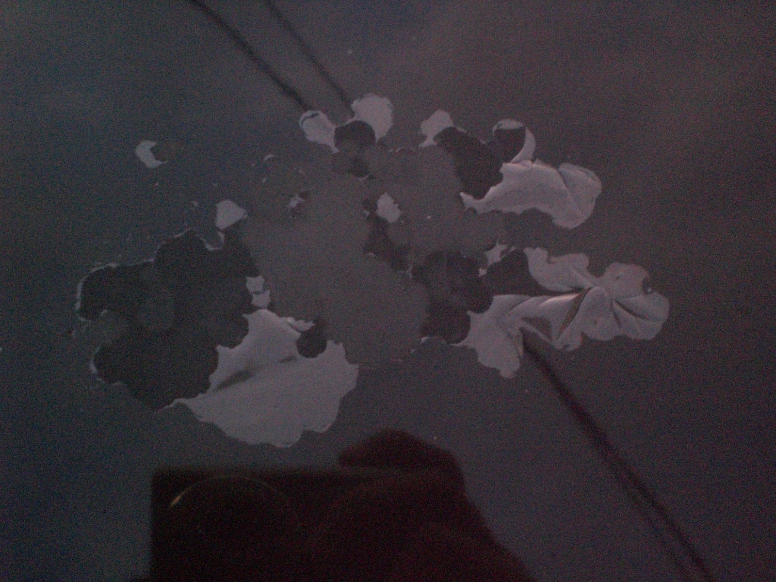 Clear Coat Failure