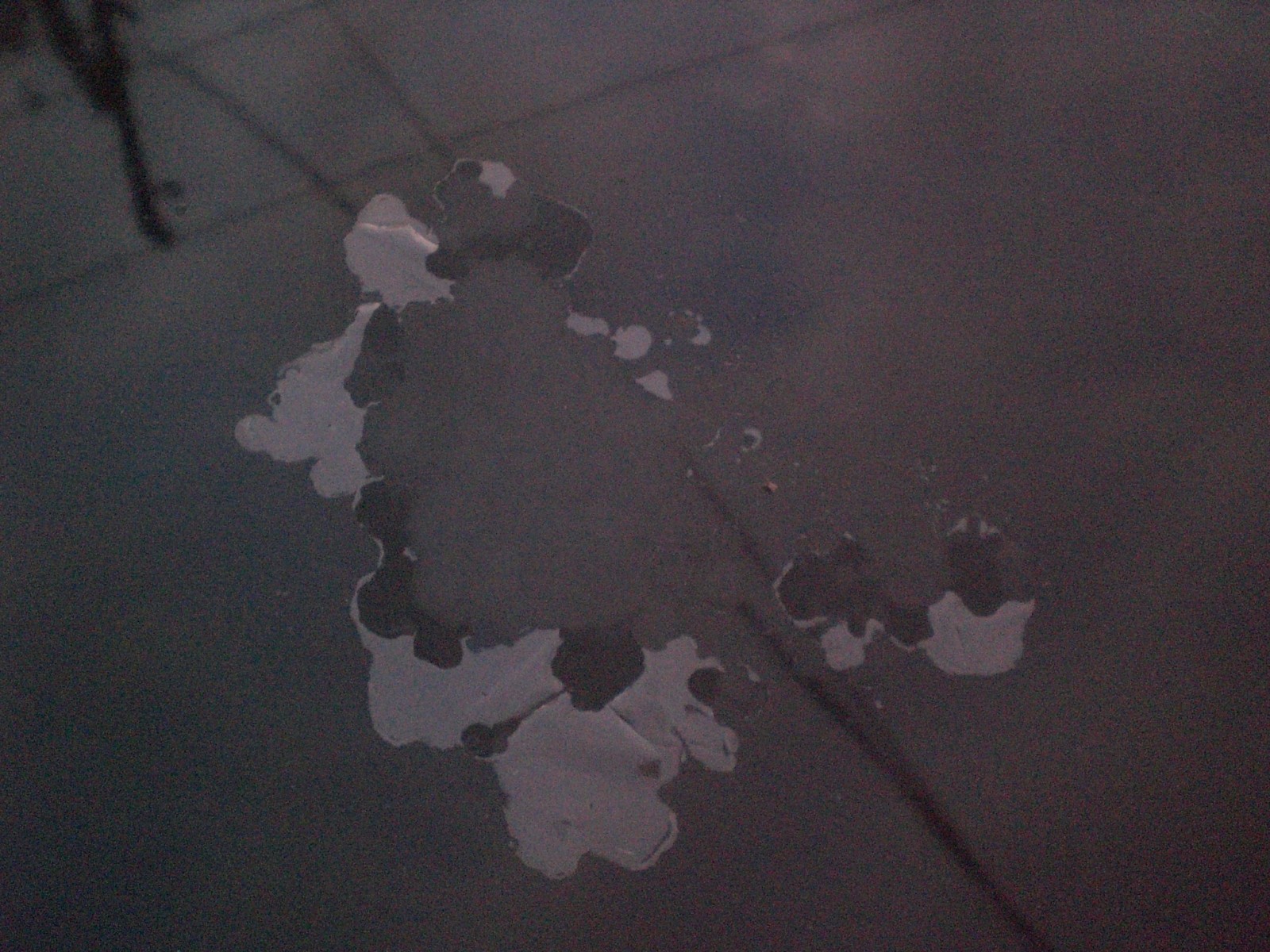 Clear Coat Failure