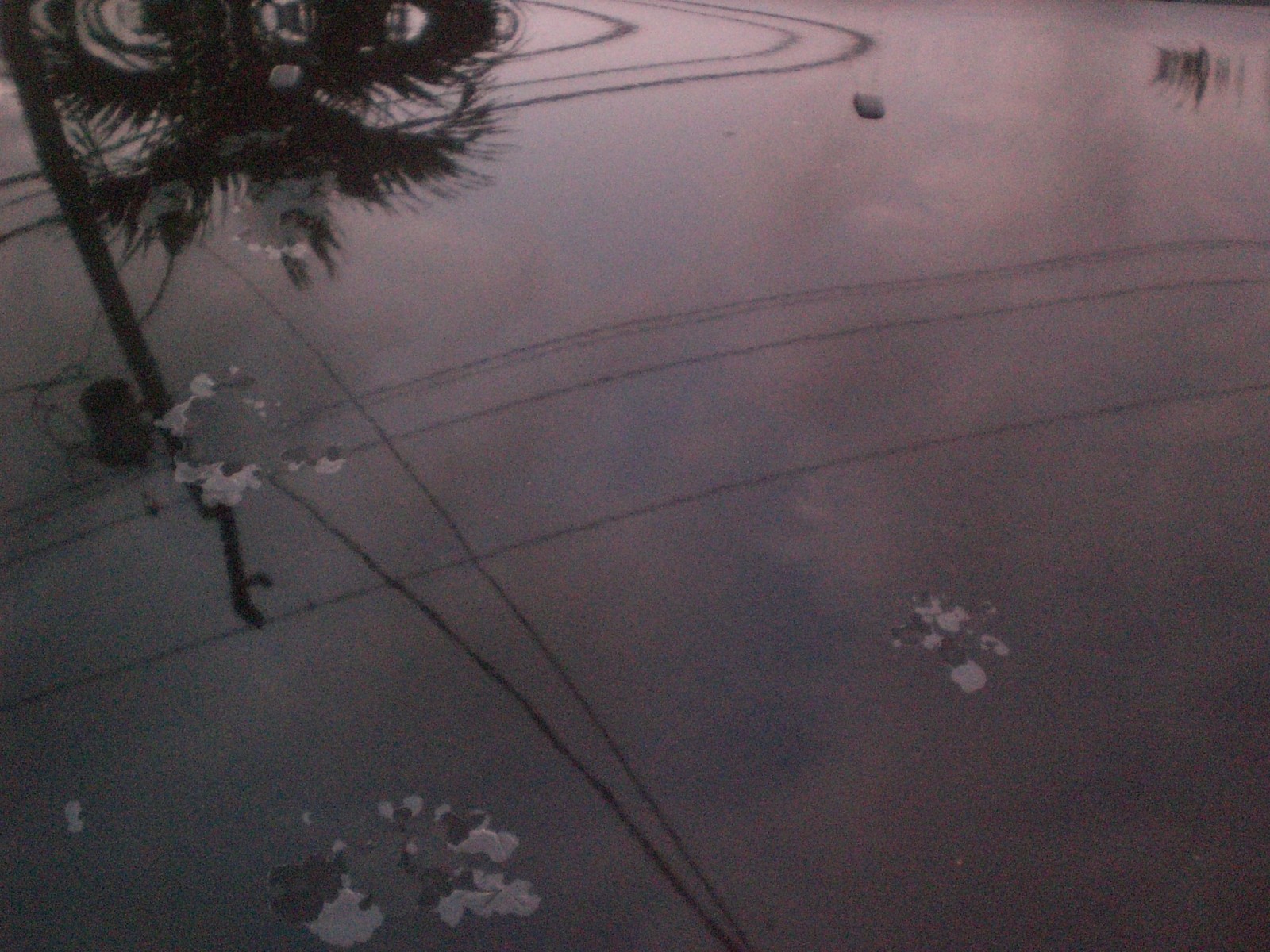Clear Coat Failure