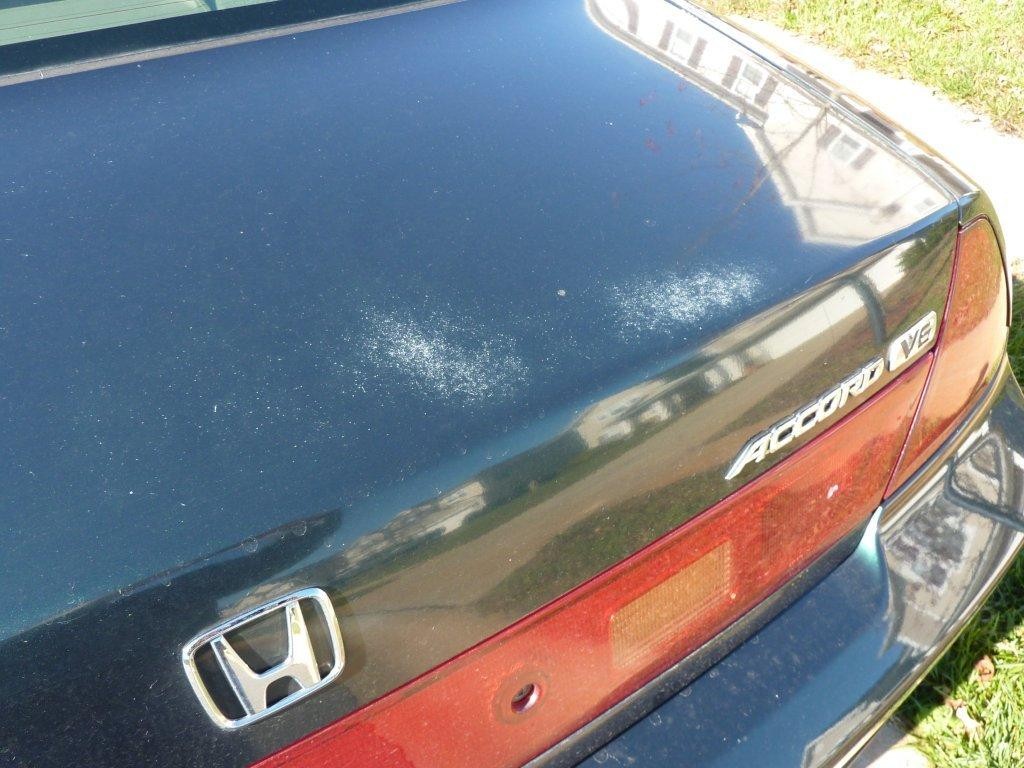 ClearTrunkFail