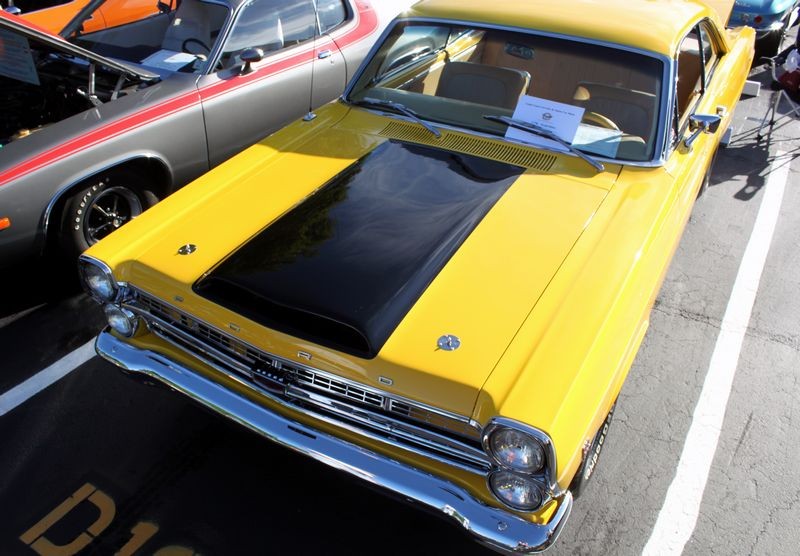 Corvette Show Cars by Mike Phillips