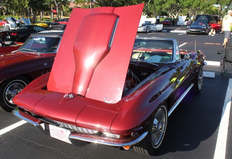Corvette Show Cars by Mike Phillips