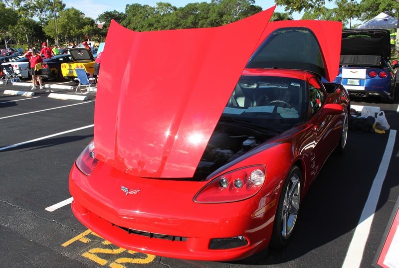 Corvette Show Cars by Mike Phillips