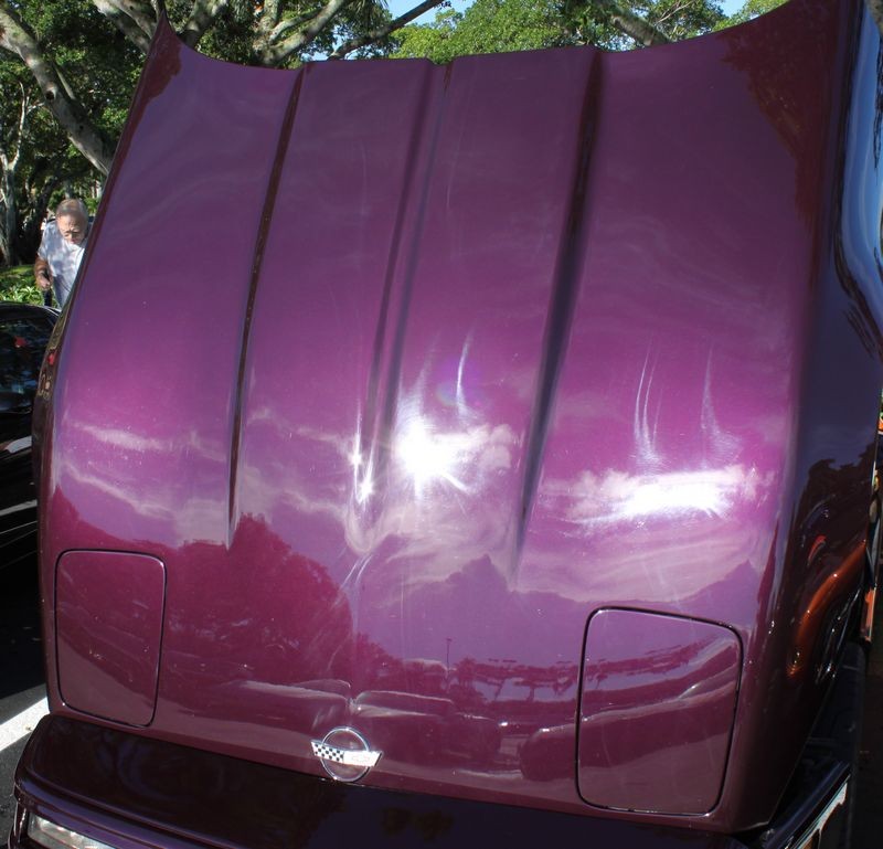 Corvette Show Cars by Mike Phillips