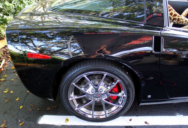 Corvette Show Cars by Mike Phillips