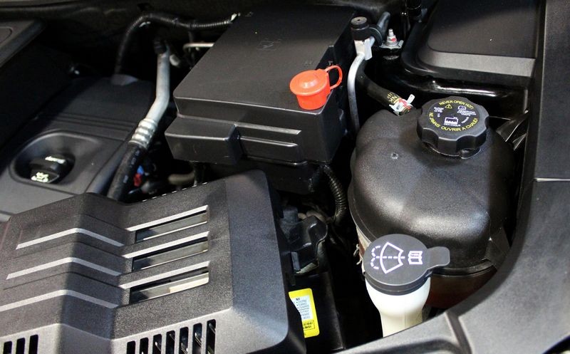 Cosmetic Engine Deailing by Mike Phillips at Autogeek
