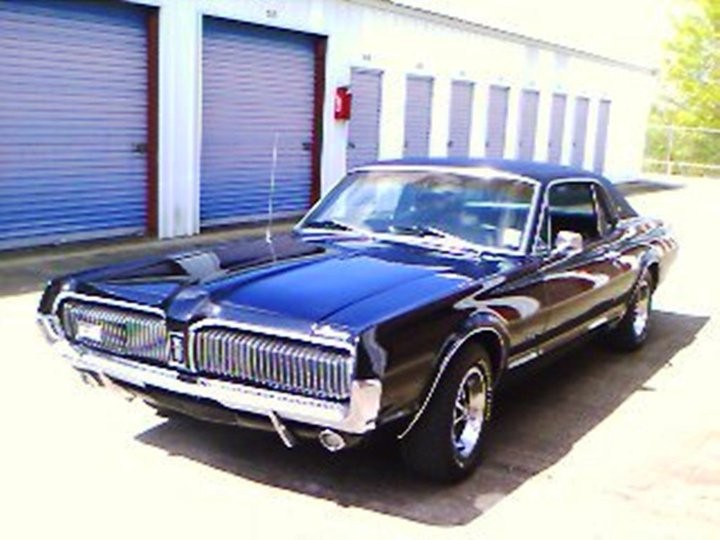 Cougar
