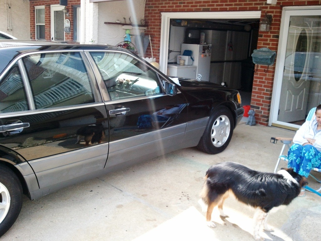 Cousin David's Mercedes 2
