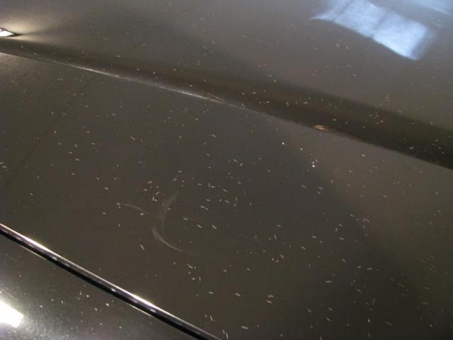 Cracks Crows Feet Lacquer Checking