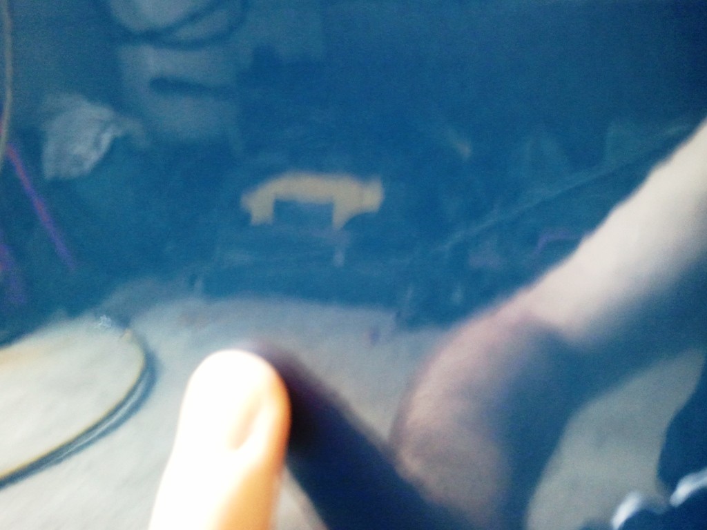 Dave's RSX Type S part 2
