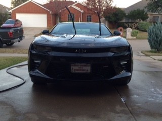Day ! first wash