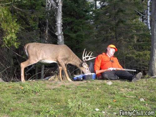 deerhunter