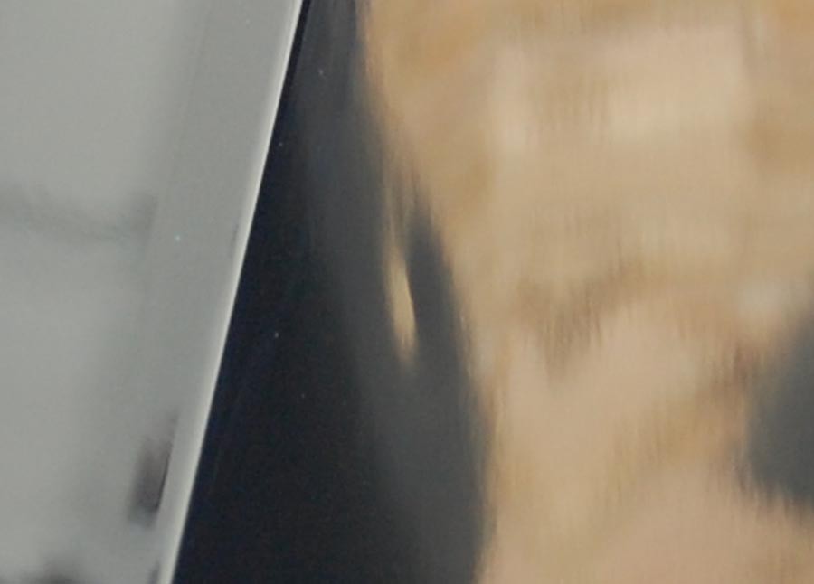 Dent1