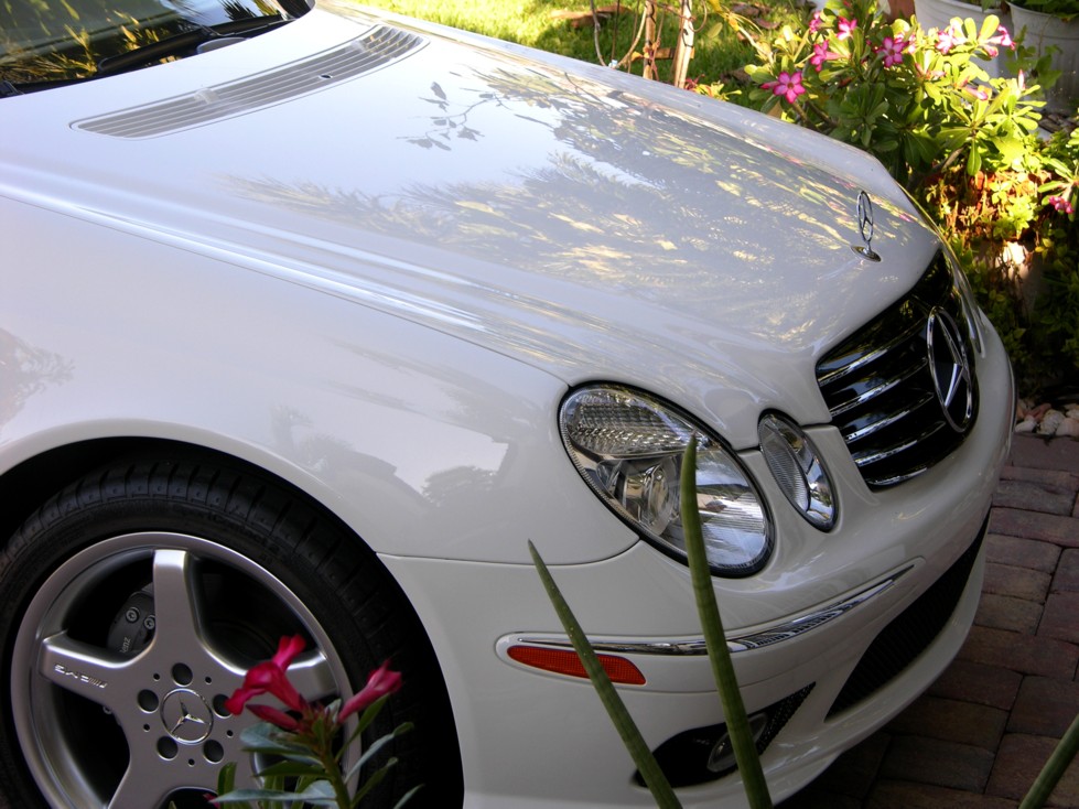 Detail 2005 MB E500