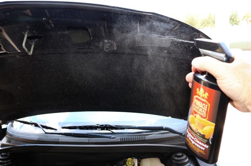 Detail Engine Bay Degreaser Mike Phillips Autogeek