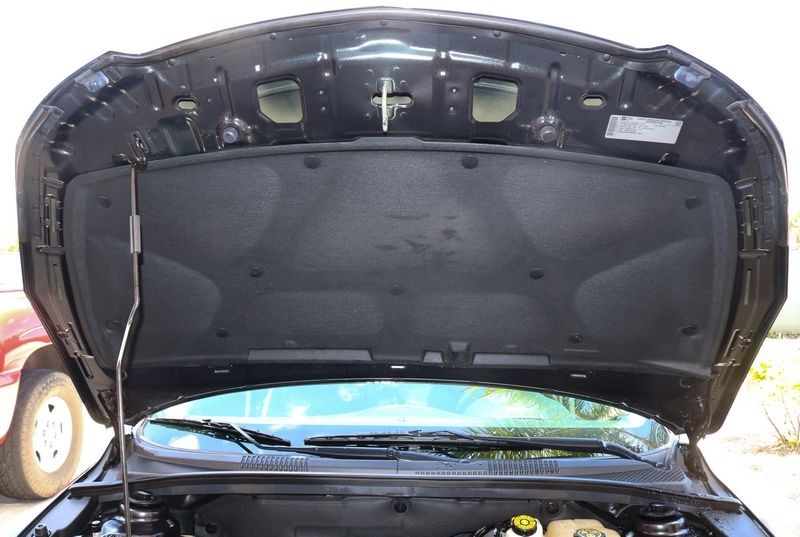 Detail Engine Bay Degreaser Mike Phillips Autogeek