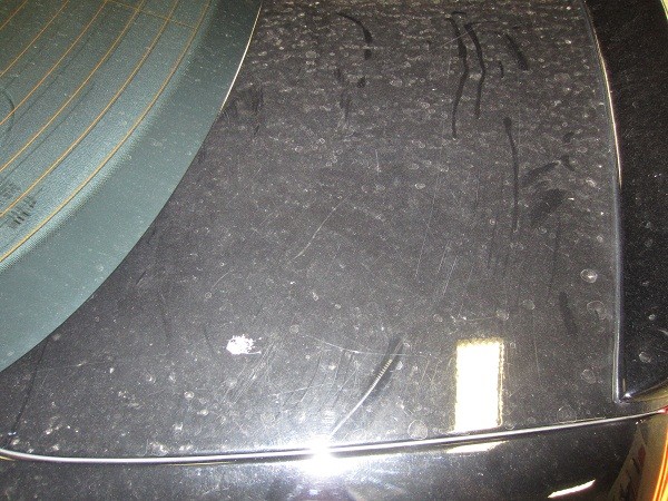 Detail_015