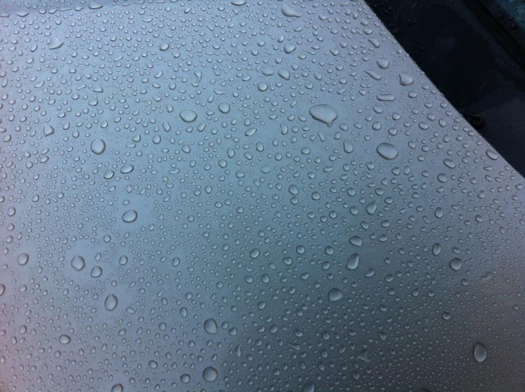 Detailer_Pro_Beads