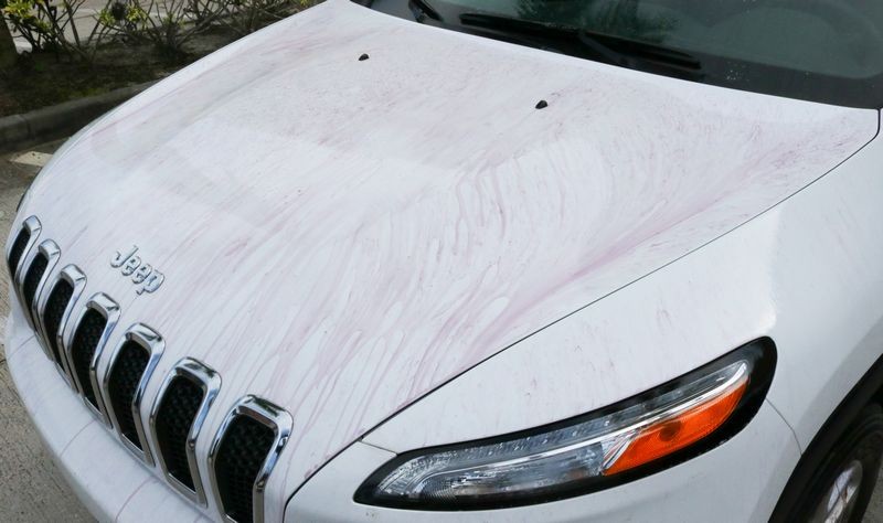 Detailing Classes with Mike Phillips at Autogeek