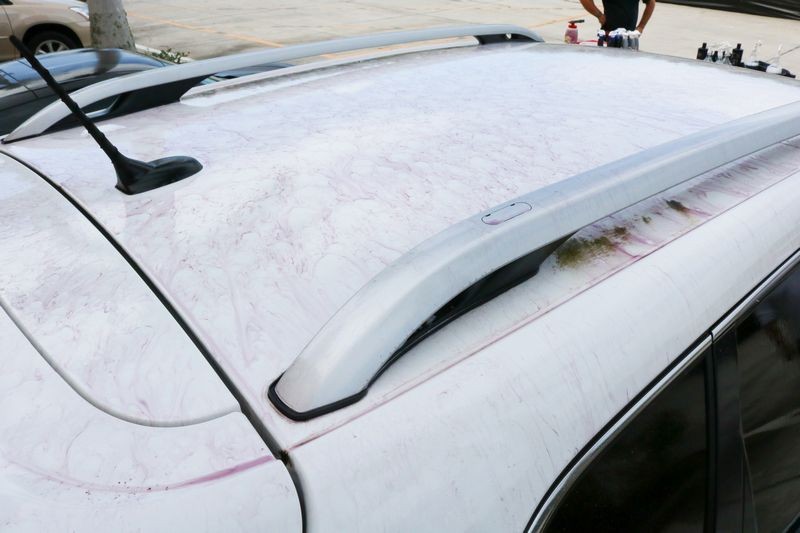 Detailing Classes with Mike Phillips at Autogeek