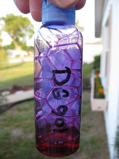 DG CWC