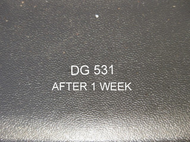 DG_531