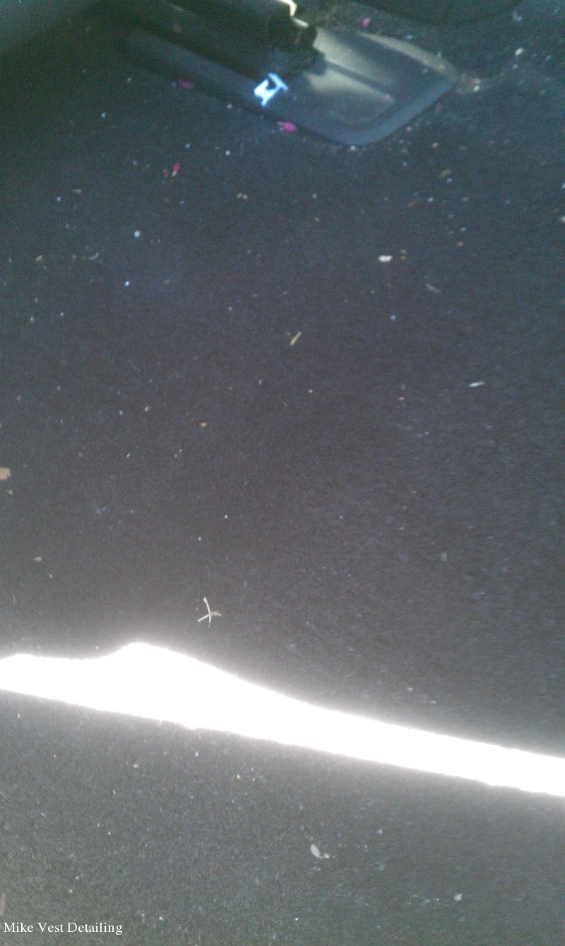 Dirty Backseat Carpet