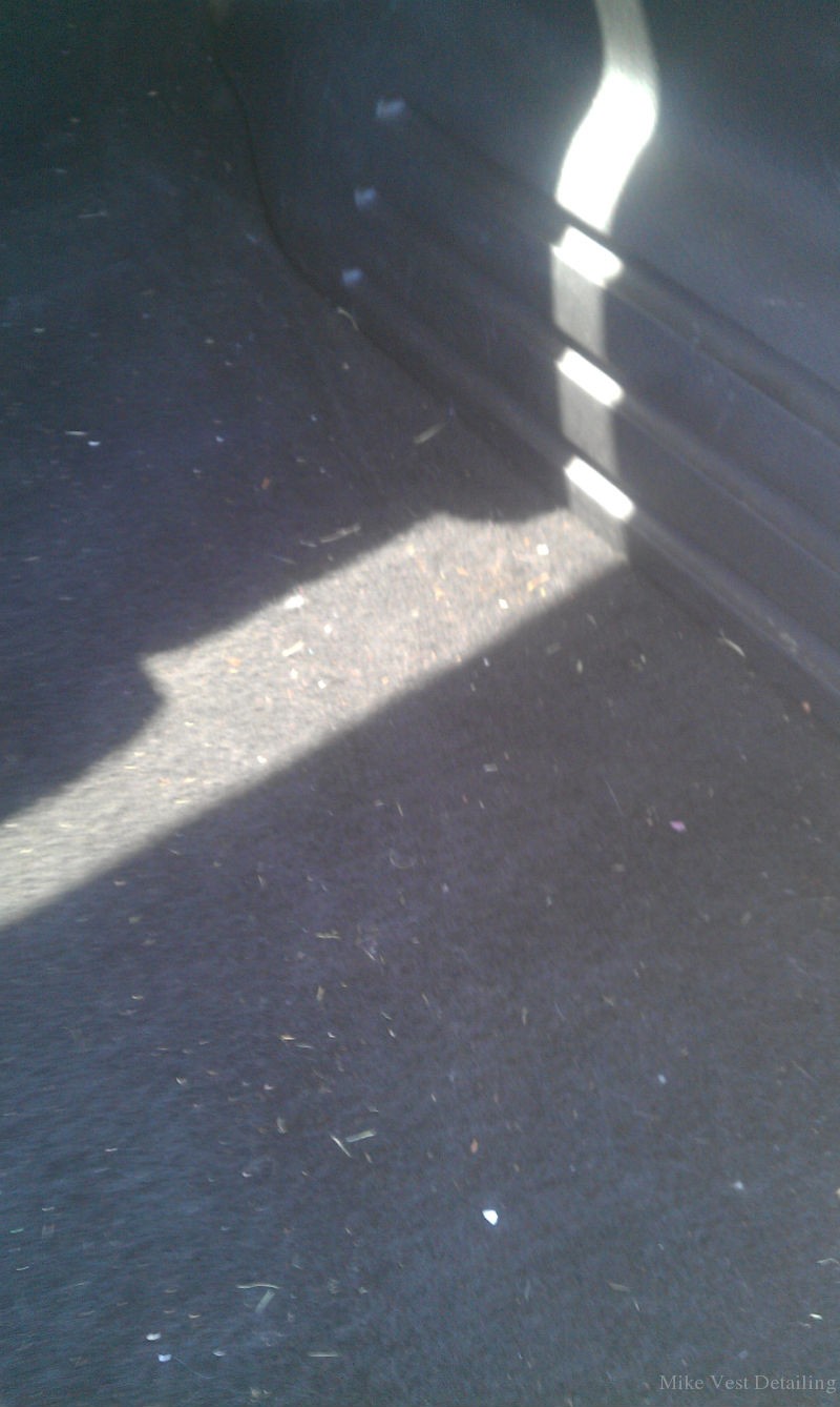 Dirty Trunk Area 1