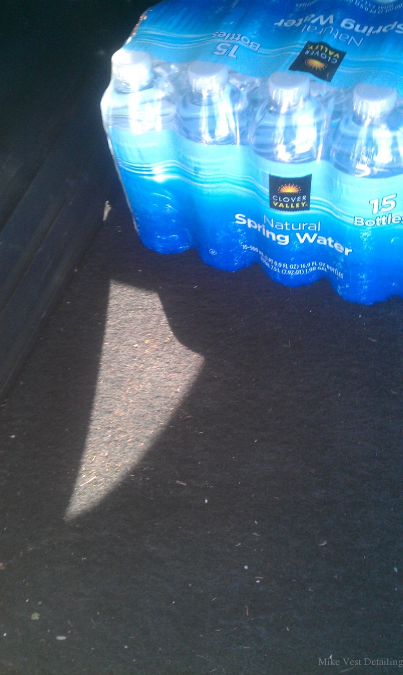Dirty Trunk Area 2