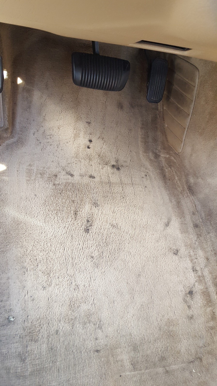Dirty_Avalon_Carpet