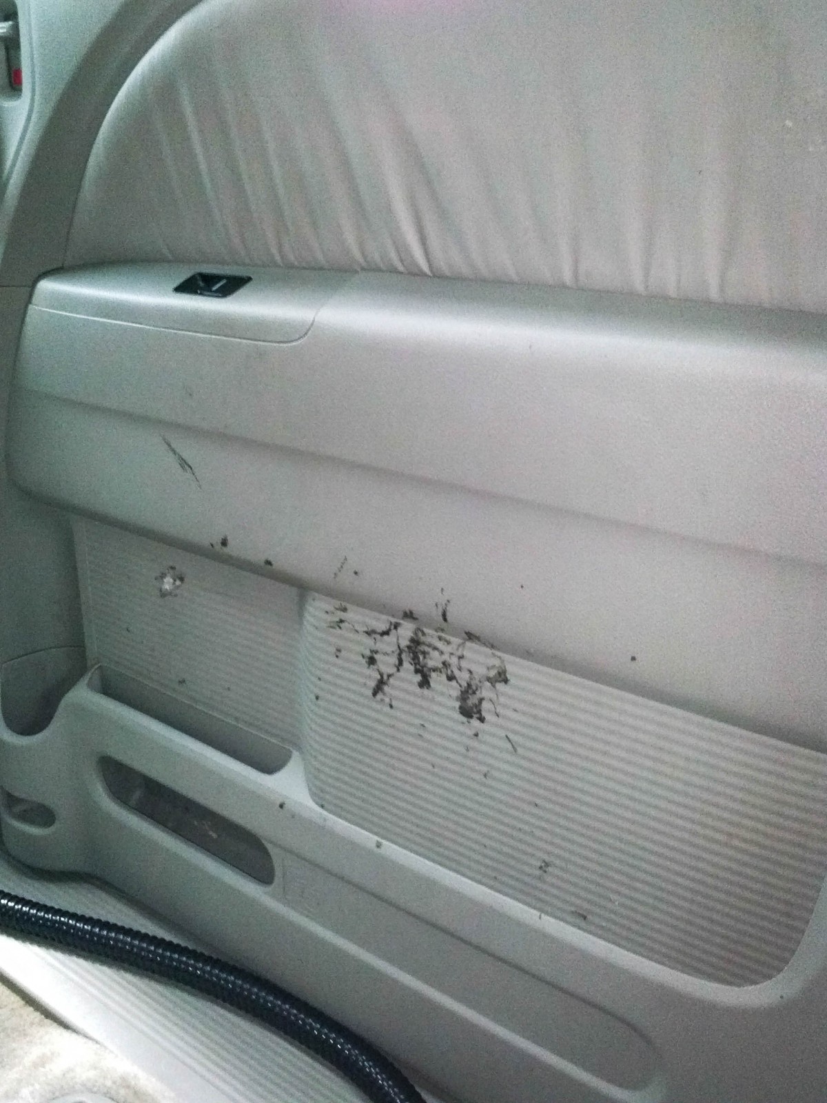 dirty_right_side_door_gum