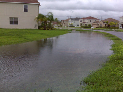 ditch