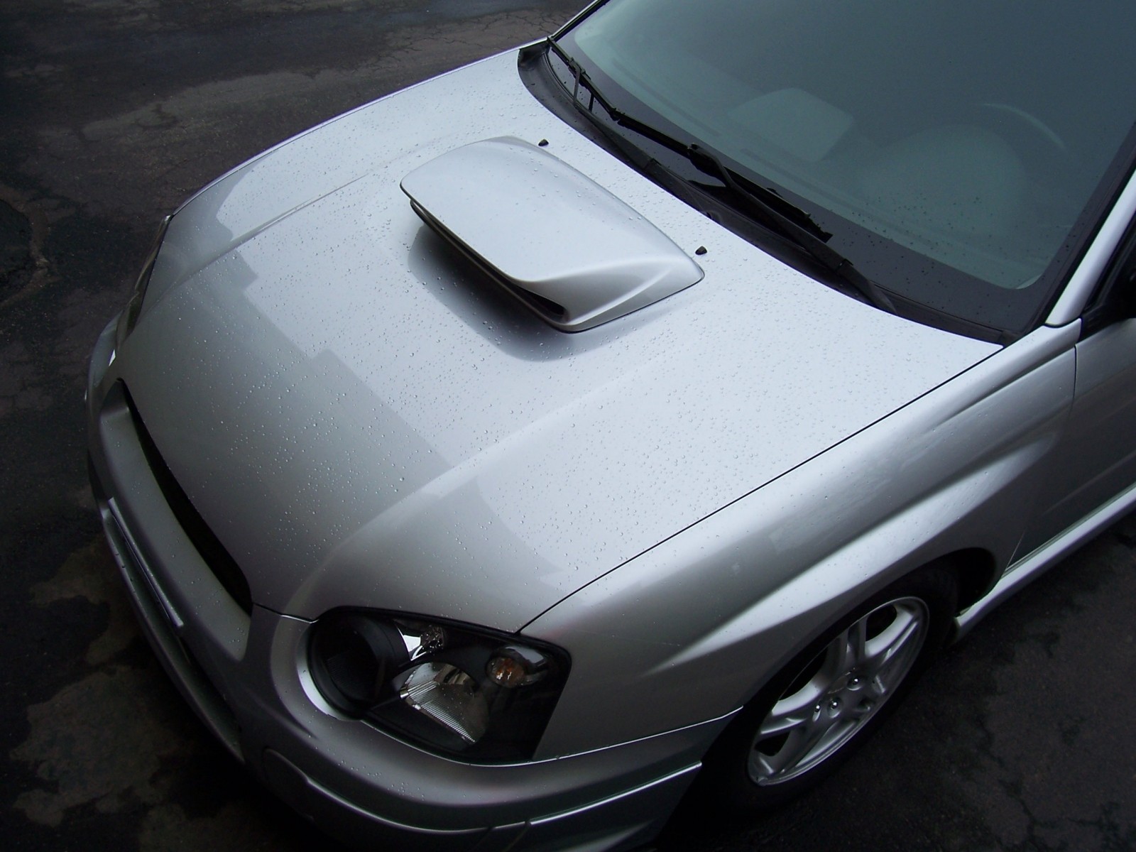 DP Poli Coat Beeding 3