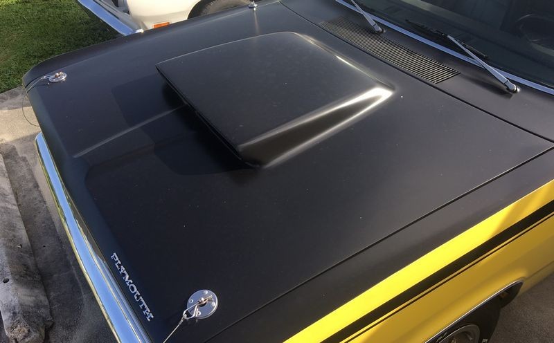 Dr. Beasleys Matte Paint Coating
