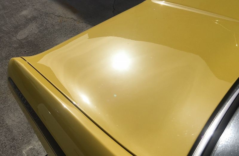Dr. Beasleys Matte Paint Coating