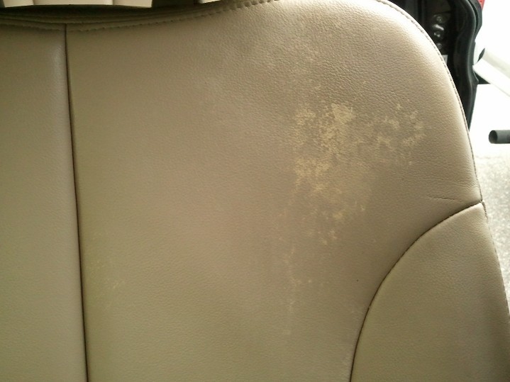 Drivers Seat