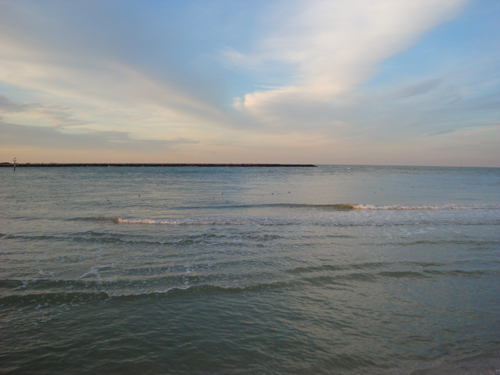 DSC00080