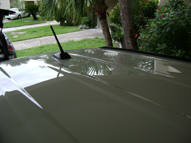 DSC00199