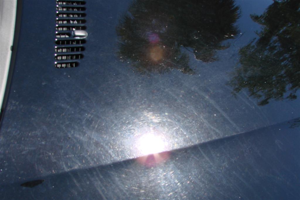 DSC00374_Large_