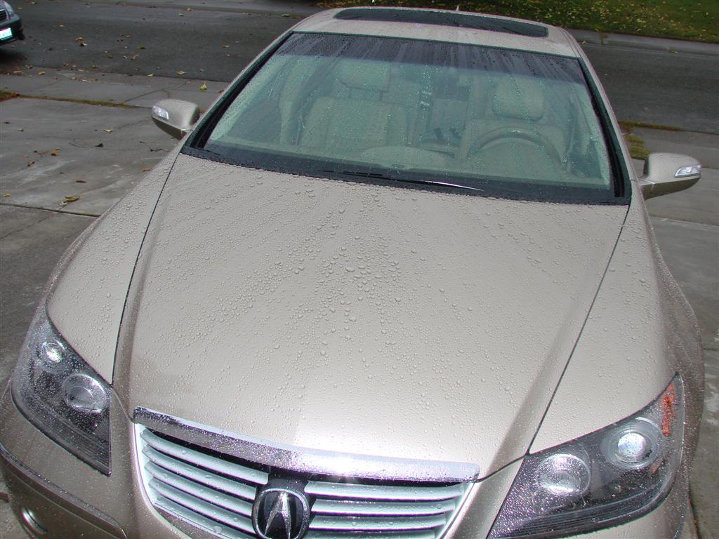 DSC00493_Large_