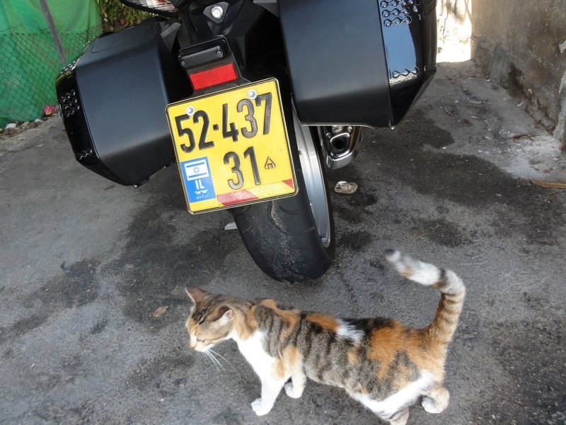 DSC00508-wr