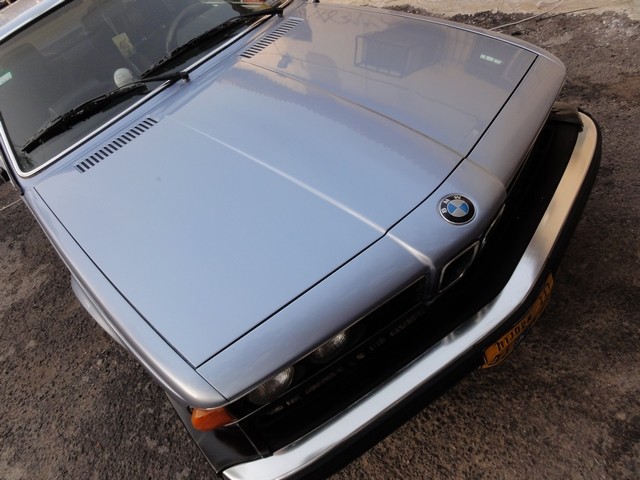DSC00601-wr