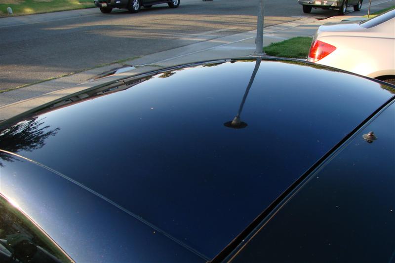 DSC00679_Medium_